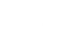 accounting software parallel konvex